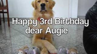 preview picture of video 'Happy 3rd B'day, Augie!'