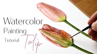 How to paint a Tulip with watercolors 🌷 Calming watercolour painting tutorial 🎨 Paint with me