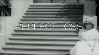 PERFECT LOSS // THE ANGEL PROBLEM (Official Music Video)