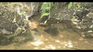 Prefuse 73 :Sleeping On A Saturday and Sunday Afternoon #4