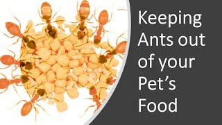 Keep Bugs out of Pet Food