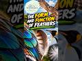 Feathers: Form and Function
