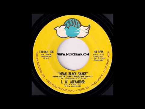 J. W. Alexander - Mean Black Snake [Thrush] 1969 Blues Funk 45 Video