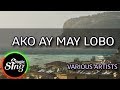 [MAGICSING Karaoke] VARIOUS ARTISTS_AKO AY MAY LOBO karaoke | Tagalog