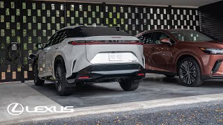 Lexus RZ Accessories