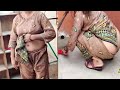 Village Vlogs PakistanVlog Hot Vlogs House Wife Pakistani Aunty Vlog House Wife CAT VLOGS PK