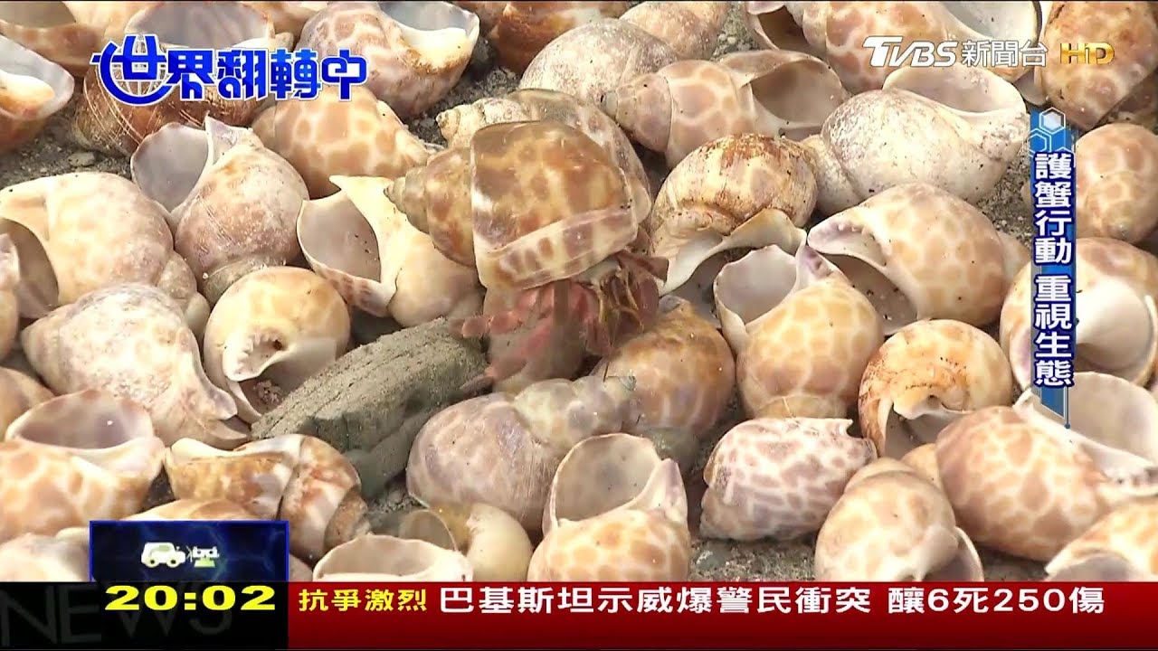 綠島生態浩劫 低碳旅遊喚起遊客重視