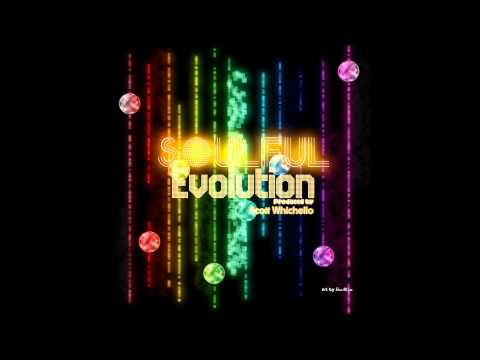 Soulful Evolution March 30th 2012 HD Weekly Soulful House Show (9)