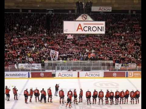 HK Acroni Jesenice highlight video
