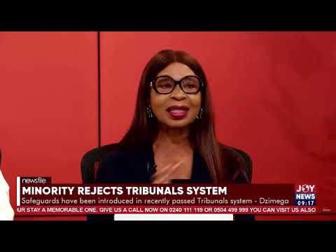 Gov’t should strengthen existing courts,create specialised courts instead of tribunals– Vicky Bright