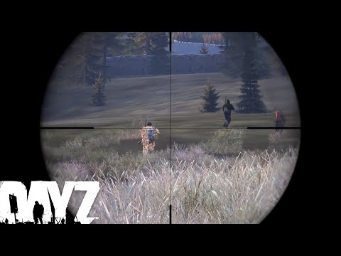 Unique Moments 6 - DayZ