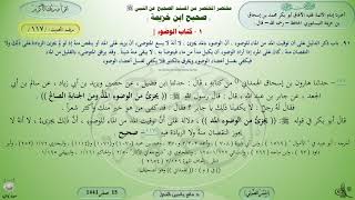 117 - شرح صحيح ابن خزيمة : كتاب الوضوء - الحديث 117 || ماهر ياسين الفحل image