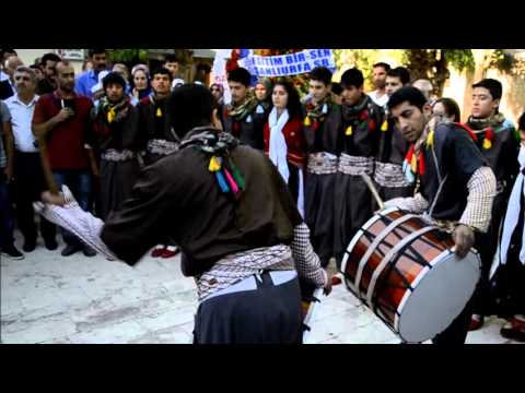 Kurdish dance - amazing!