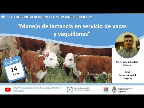 , title : 'Manejo de lactancia en servicio de vacas y vaquillonas'