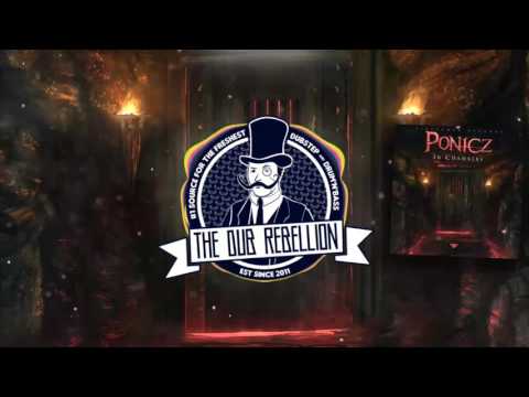 Ponicz - 36 Chambers