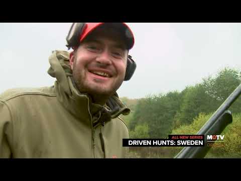 Driven Hunts Sweden | New Episodes | MyOutdoorTV