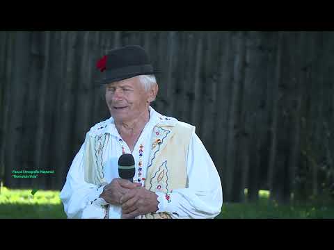 Vasile Soporan - Vai de mine, ce zâcală (Românește LIVE)