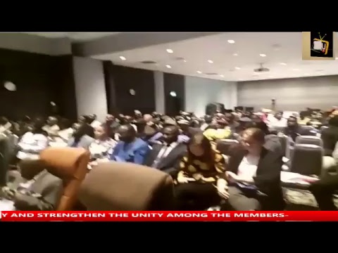 UDP TV&MEDIA TV Live Stream