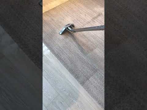 Carpino Carpet Cleaners video.