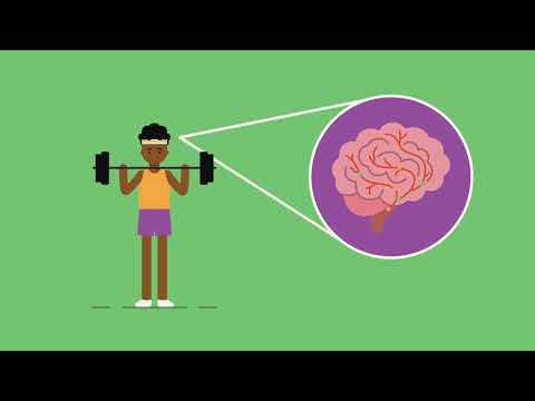 How exercise affects the brain