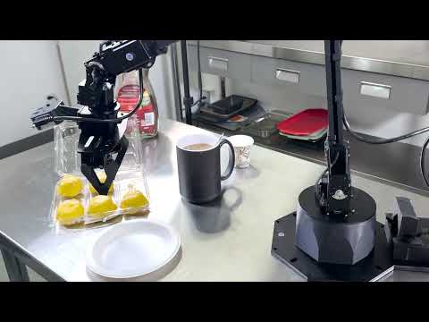 Aloha Solo In Action