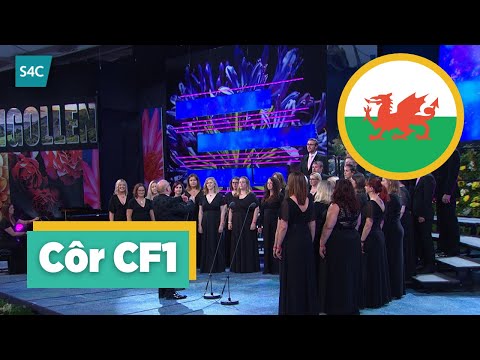 Gwinllan a Roddwyd i'm Gofal - Caradog Williams | Côr CFI | Cymru | Eisteddfod Llangollen 2022
