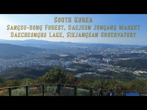 Coreia do Sul: Floresta Sangso-dong, Mercado Daejeon Jungang, Lago Daecheongho e Observatório Sikjangsan