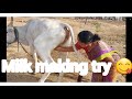 Viral Prepare Cow Milk Making Vlog