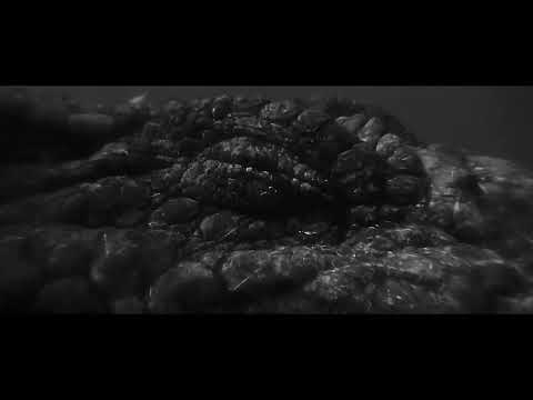 [FREE] BOOM BAP DRUM KIT "CROCODILE" 90's HIP HOP DRUM KIT