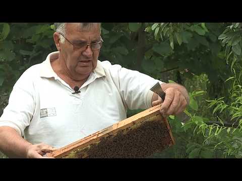 Boja meda ep. 73 30.07.2019. NAJAVA