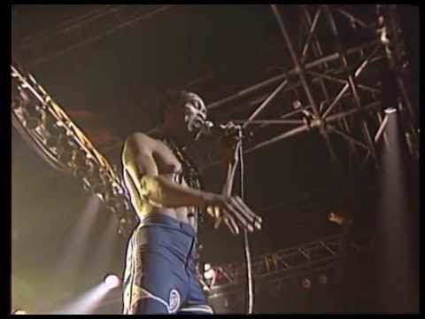 Fela Anikulapo-Kuti and Egypt 80 - Beasts Of No Nation, Live at the Zenith, Paris in 1984