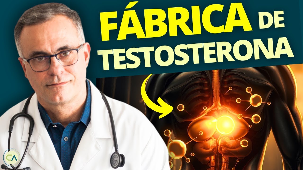 Testosterona: O Que NUNCA te contaram e que VAI TE AJUDAR MUITO!