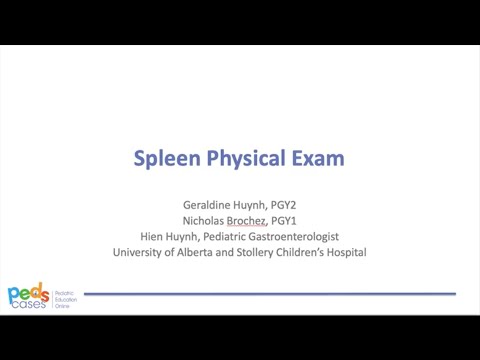 Spleen Physical Exam