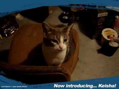 Now introducing... Keisha!