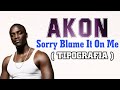 Vídeo Para Status Sorry Blame It On Me Akon Tipografia