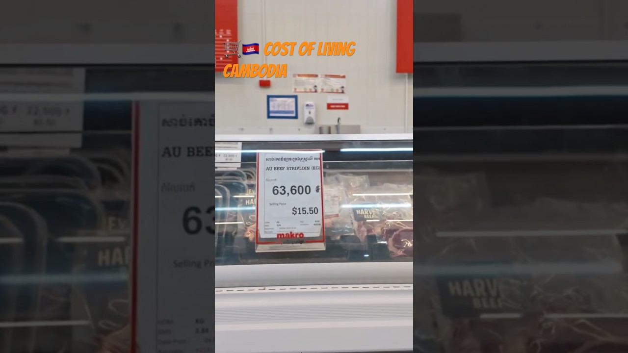🛒🇰🇭 Cost of Living in Cambodia #costofliving #groceryshopping #importedmeat #beef #cambodia #meat