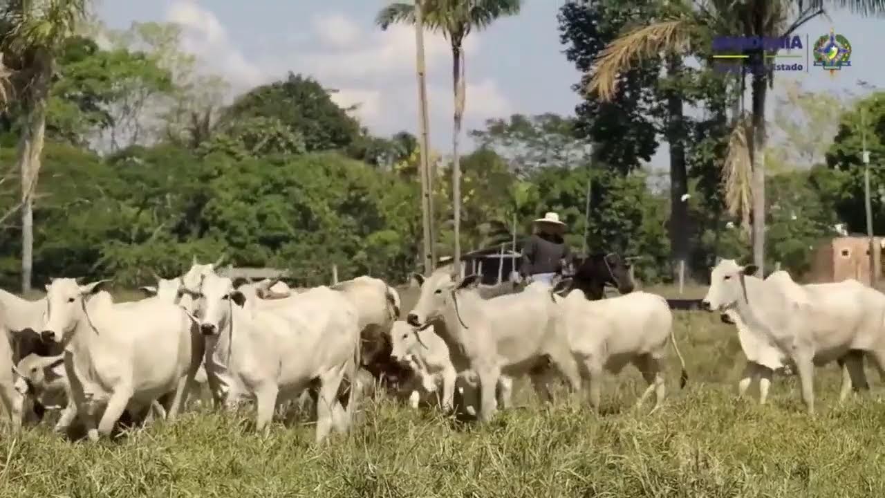 XII Simpósio Brasileiro de Educação em Solos e III Reunião de Ciência do Solo do Núcleo Noroeste