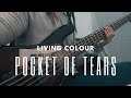 LIVING COLOUR - Pocket of tears | Bass Cover