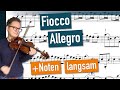 Fiocco Allegro SLOW VIOLIN SOLO Violin Sheet Music
