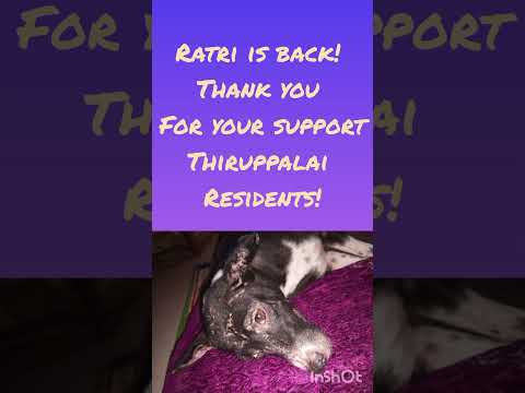 Ratri is back! 🧙♥️