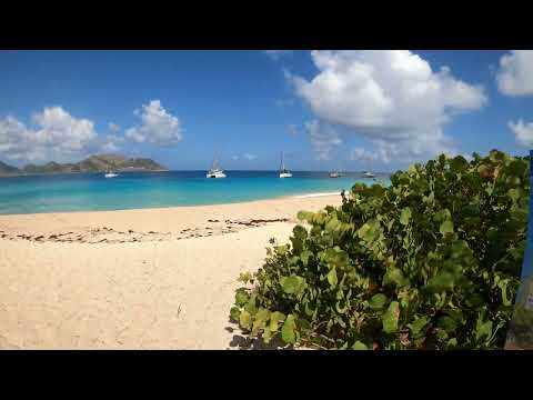 2024-04 - Saint Martin. Ile Tintamarre