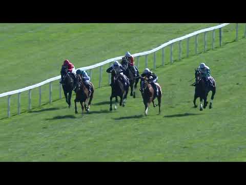 Dostihy Chuchle Arena Praha 17. 9. 2023 - 2. dostih - Cena Chuchle Areny Praha