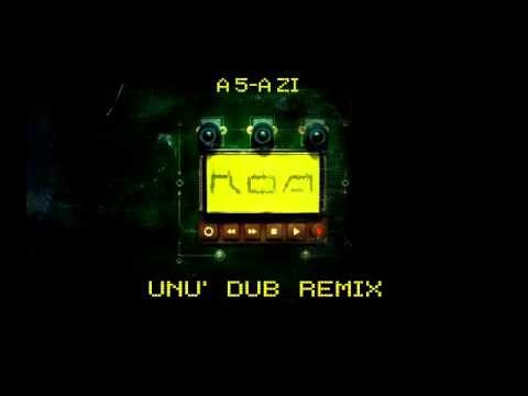 ROA - A 5-a zi  ( UNU' Dub Remix )