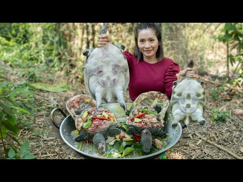 Turtles Recipe - Steaming Yummy Turtles With Salt Recipes