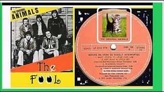 &#39;The Animals - The Fool&#39;