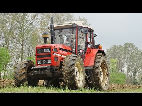 Lombalgia e la salute generale Composto dimexide per giunti