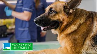  Instituição do Dia Nacional dos Cães de Resgate e Patrulhamento - 15/07/2026 10:00