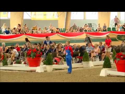 Junior Vaulting WM 2017 - Swiss Team Cedric Hofer - Rank 13
