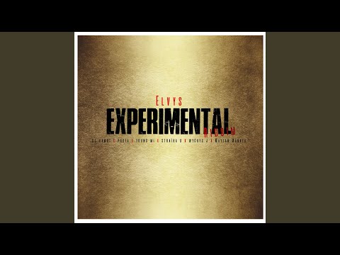 Megamix Experimental Riddim