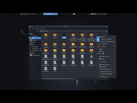 ArcoLinux : 2089 Create your own look of ArcoLinux - save it - reuse it - alias personal explained